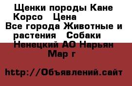 Щенки породы Кане-Корсо › Цена ­ 25 000 - Все города Животные и растения » Собаки   . Ненецкий АО,Нарьян-Мар г.